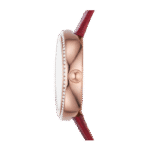 AR11532.png