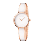 Швейцарские наручные часы Calvin Klein K4E2N616