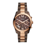 Fossil-Carlie-ES4284.png