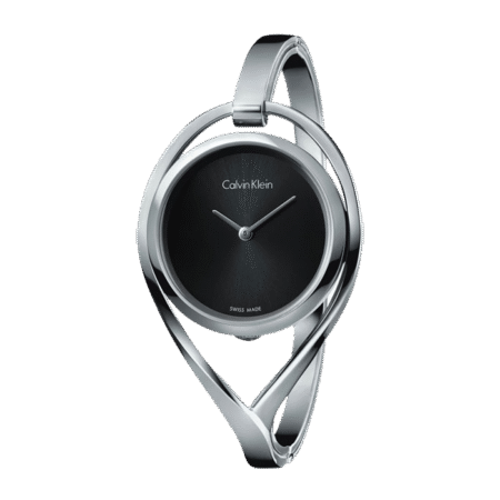 Швейцарские наручные часы Calvin Klein K6L2M111