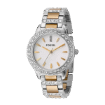 Fossil  ES2409